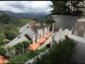 Bukit Tinggi Fuchsia Hillhomes